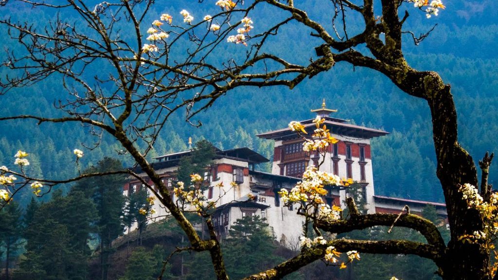 BHUTAN 05 NIGHTS / 06 DAYS - Image 4
